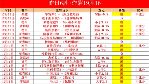 2025年哈尔滨将迎来第九届亚洲冬季运动会盛大开幕